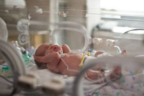 High Risk New Born Clinic